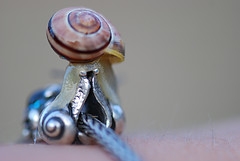 love trollbeads